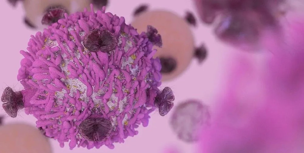 Science子刊：免疫疗法组合克服了冷肿瘤对双特异性T细胞衔接器治疗的抵抗