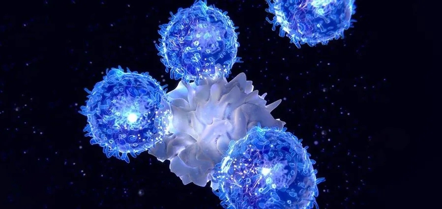 TIM-3是T细胞耗竭的标志物，靶向TIM-3可恢复T细胞抗癌活力