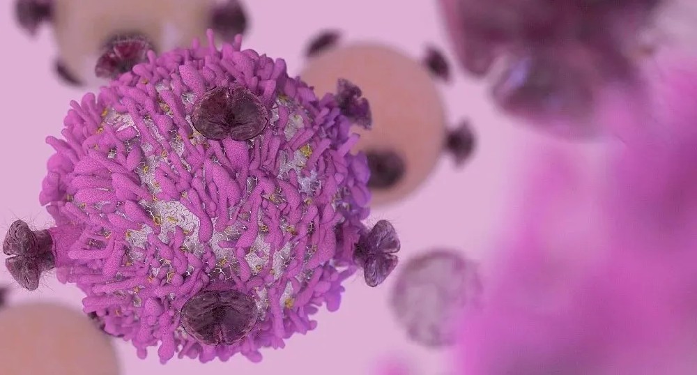 Cell子刊: 巨噬细胞促进肿瘤转移的详细机制