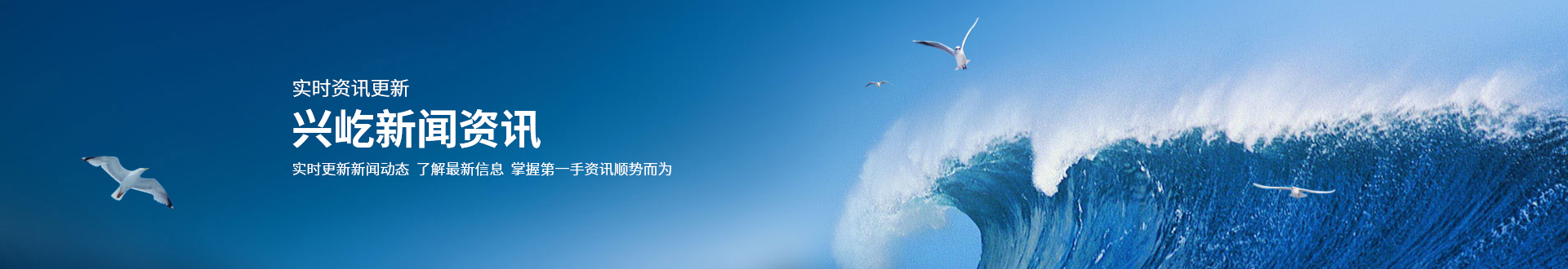  -jinnianhui | jinnian