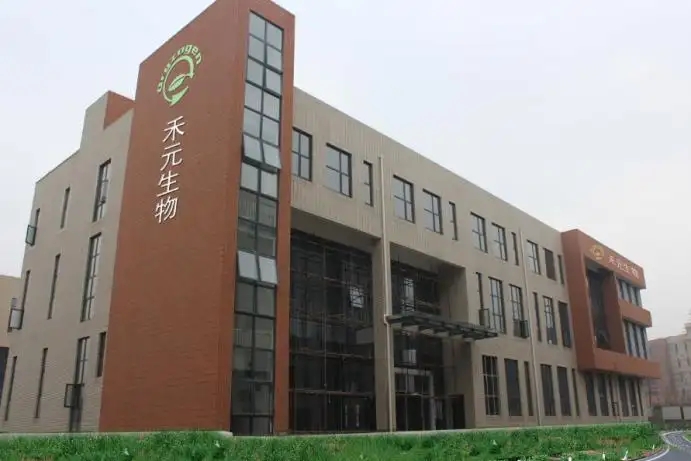  -jinnianhui | jinnian