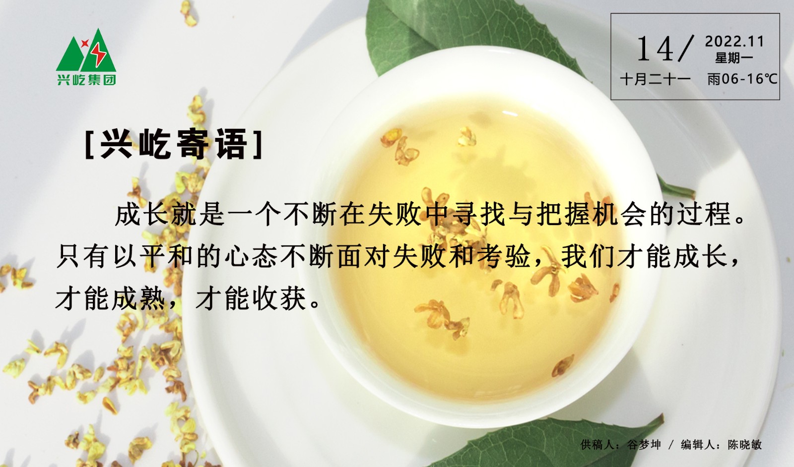  -jinnianhui | jinnian